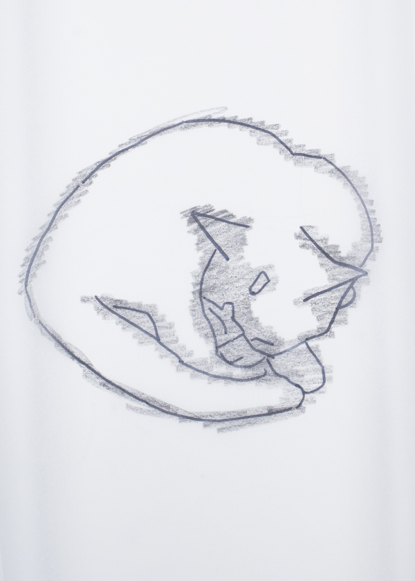 Ephemera Painting - adding graphite to the trace